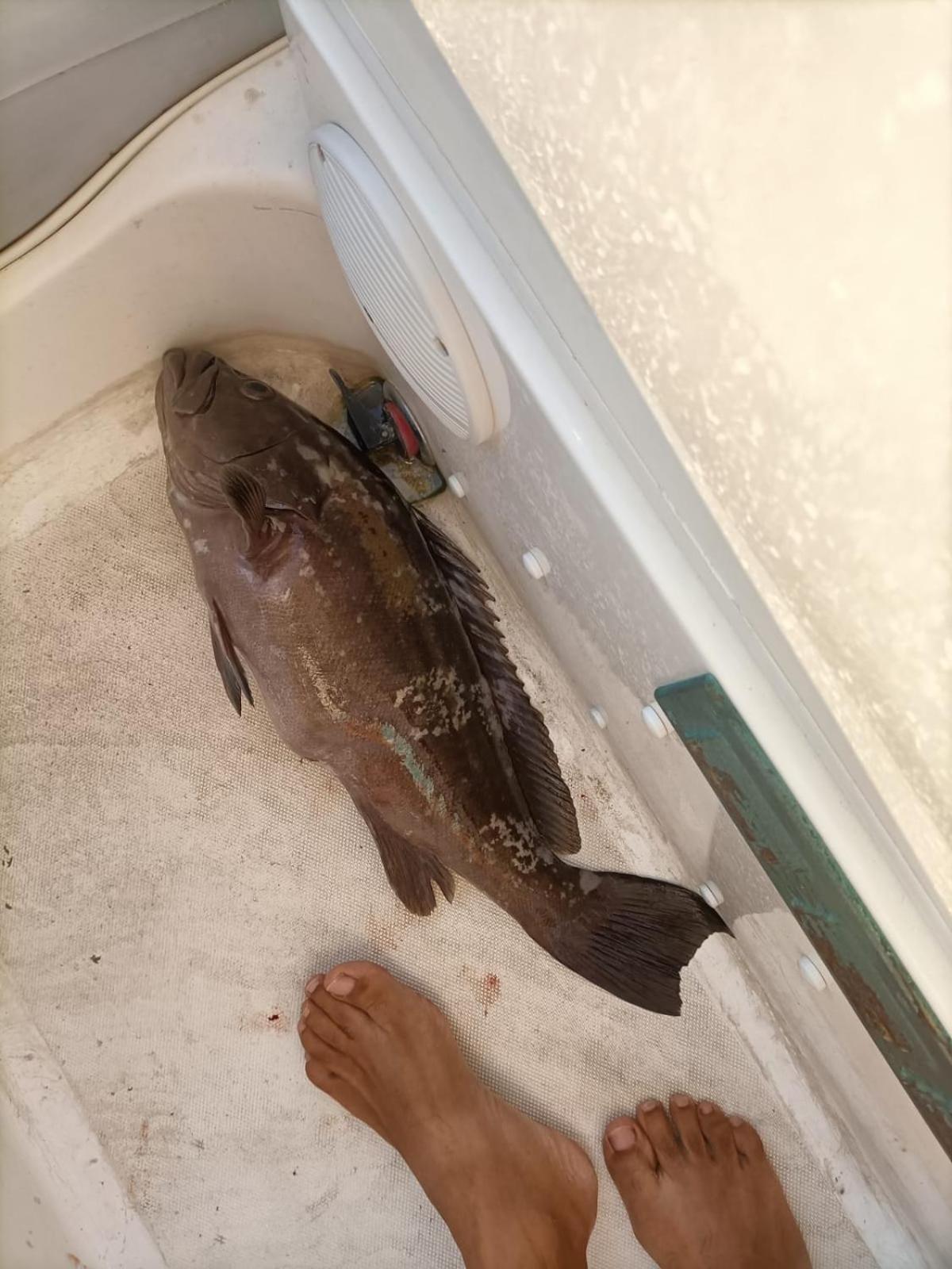 Levante Terrasini Zewnętrze zdjęcie
